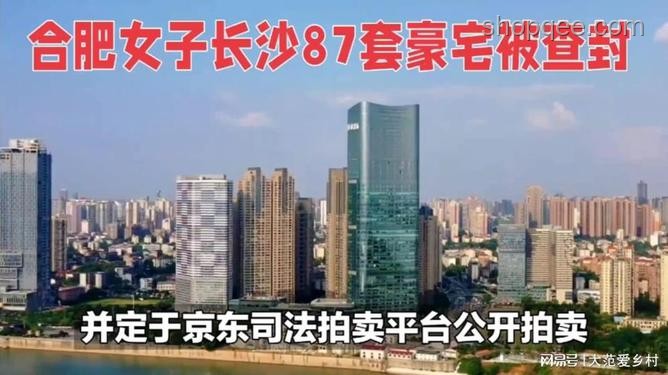 金秀贤豪宅查封事件后的趋势预测：形象重塑与法律纠葛